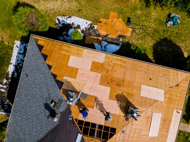 Best Roof Repair Specialists  in Exandria, AL