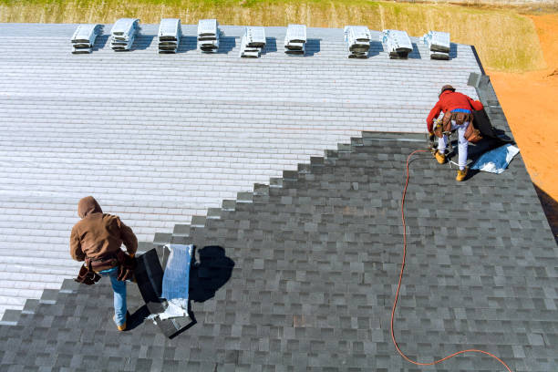 Best Roof Leak Repair  in Exandria, AL