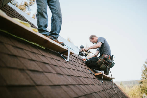 Best Roof Repair Services  in Exandria, AL