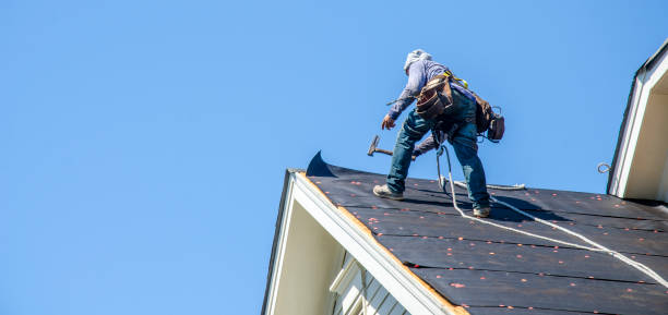 Best Roof Waterproofing Services  in Exandria, AL